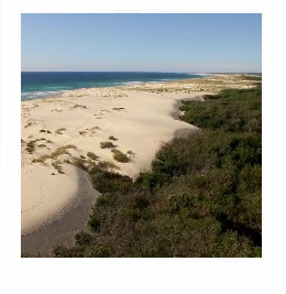 Les Séjours et colonies de vacances - Le-Temps des Copains - LTC